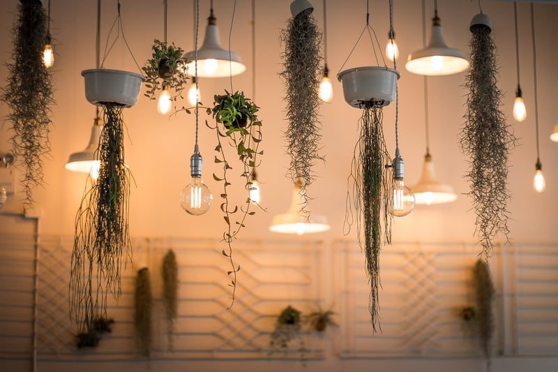 Magical Lighting Designs